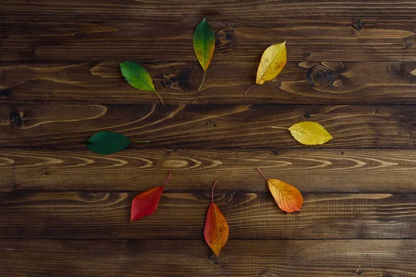 秋の紅葉から自然を見て 時計のコンセプトです 木製の背景に赤に緑からの遷移を残します 季節の概念変化 — ストック写真