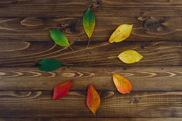 秋の紅葉から自然を見て 時計のコンセプトです 木製の背景に赤に緑からの遷移を残します 季節の概念変化 — ストック写真