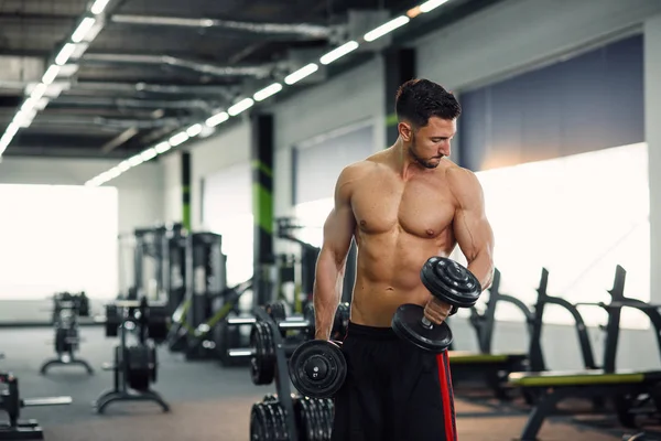 Homem Fitness Atraente Com Tronco Trabalhando Com Halteres Durante Treinamento — Fotografia de Stock