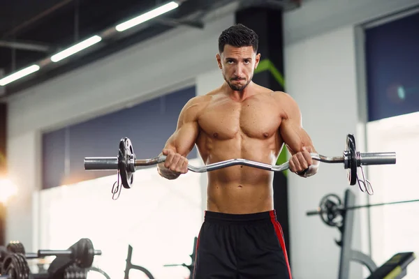 有吸引力的肌肉发达的男人与完美的身体做二头肌运动与杠铃 在现代化的健身房锻炼 — 图库照片