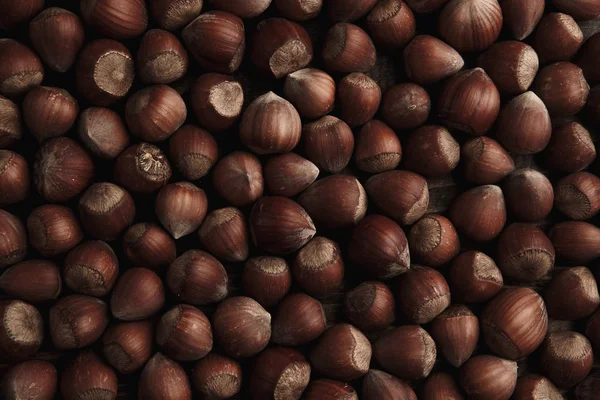 Hazelnut. Fresh organic filbert. Nuts macro background. — Stock Photo, Image