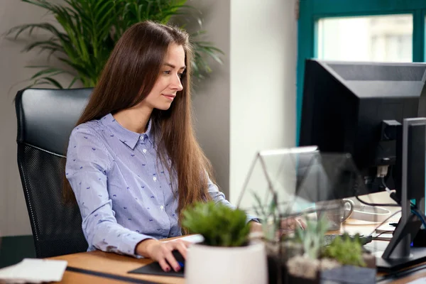 在现代办公室从事计算机工作的年轻女商人. — 图库照片