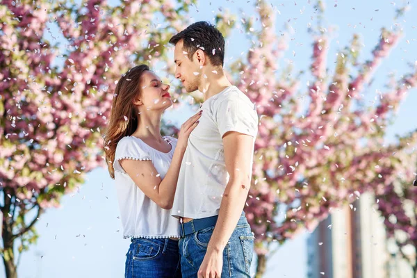 Un par de abrazos cerca de árboles de sakura en el jardín floreciente. Pareja enamorada pasar tiempo en el jardín de primavera, flores en el fondo, de cerca. Concepto pasión y amor . —  Fotos de Stock