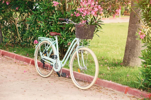 Mulheres bicicleta vintage contra arbustos verdes e flores cor-de-rosa. Elegante bicicleta retro com a cesta estacionada na rua . — Fotografia de Stock