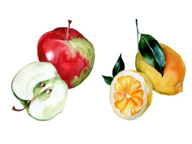 Beyaz arka planda elma ve limon çizimleri. Sağlıklı beslenme. Vejetaryen yemeği.. 