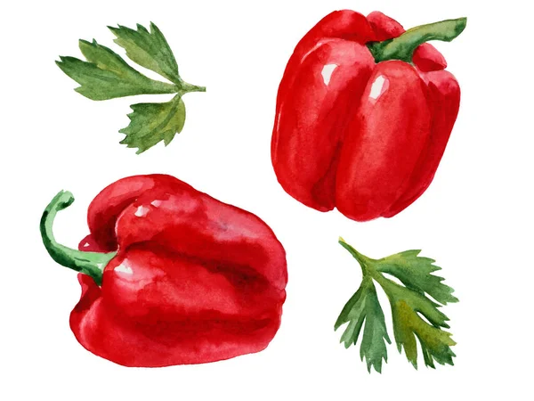 Watercolor Drawings Red Peppers White Background Healthy Eating Vegetarian Food — Stock Photo, Image
