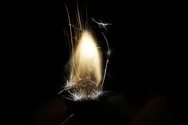 Zippo ve çakmak benzinin üzerinde