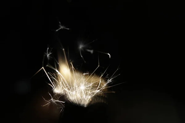 Zippo ve çakmak benzinin üzerinde