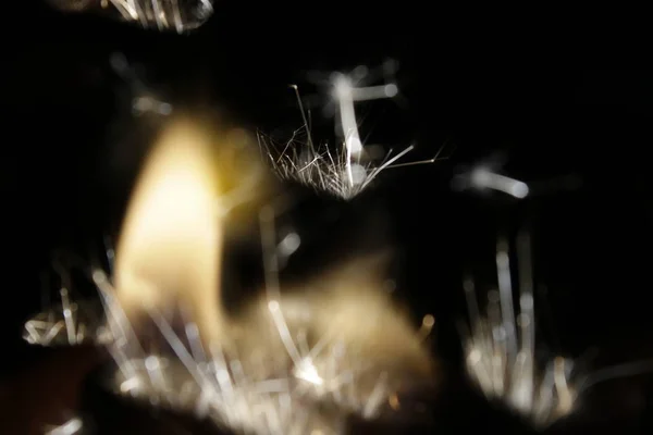 Zippo ve çakmak benzinin üzerinde