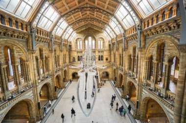 Londra / İngiltere'de - 16 Kasım 2017: dinozor fosil simgesel yapısının doğal Tarih Müzesi