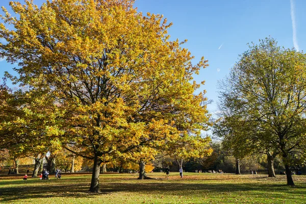 Arbres Dorés Dans Parc Public Londres Automne — Photo