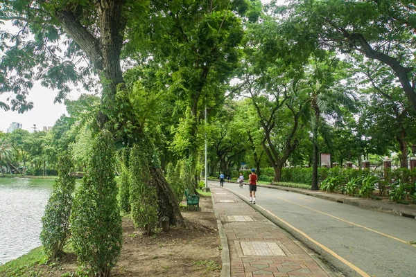 Άνθρωποι Κάνουν Τζόκινγκ Και Περπάτημα Για Άσκηση Στο Καταπράσινο Πάρκο — Φωτογραφία Αρχείου
