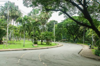 Beton yolu bisiklet ve koşu yeşil parkta egzersiz