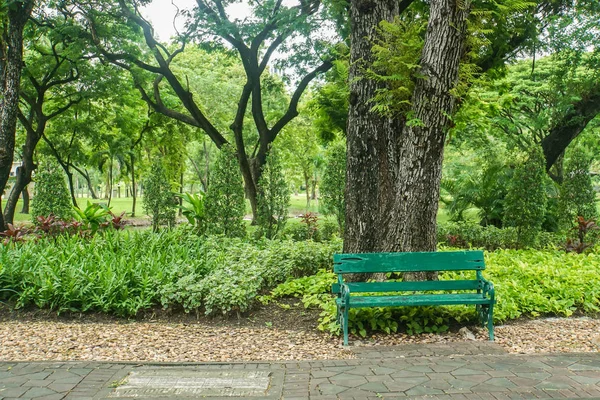 Kaldırım Rahatlama Için Ağaçların Altında Oturmak Genel Park Yeşil Ahşap — Stok fotoğraf