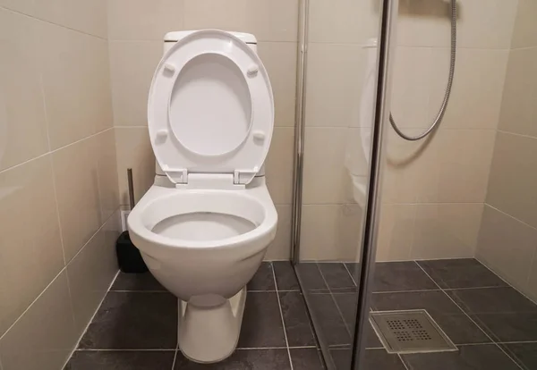 Beyaz Tuvalet Kase Üzerinde Lüks Otel Banyo Duş Kabinli — Stok fotoğraf