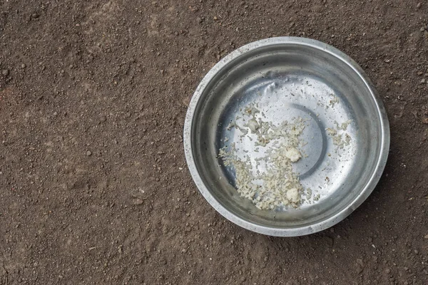 eski vintage köpek yemliği kalıntı gıda ile