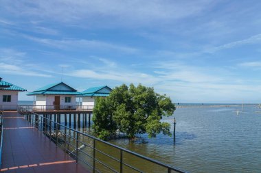 mavi gökyüzü ile güneşli bir günde deniz kıyısında modern tek katlı Bungalov