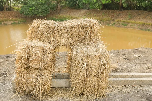 Stack Dry Rice Straw Farm — Stok Foto