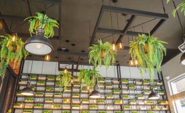 dekorasyon için kafede eğrelti otu pot asılı vintage ampul iç