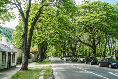 Arrowtown / Yeni Zelanda: 5 Aralık 2018: İlkbaharda ağaçlarla açık otopark