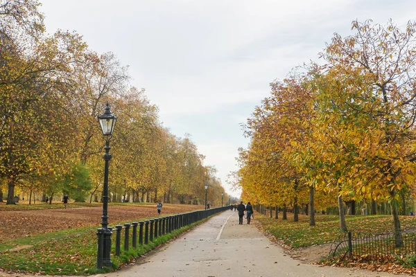 Les Arbres Sélectifs Foyer Dans Parc Deviennent Jaunes Automne Avec — Photo