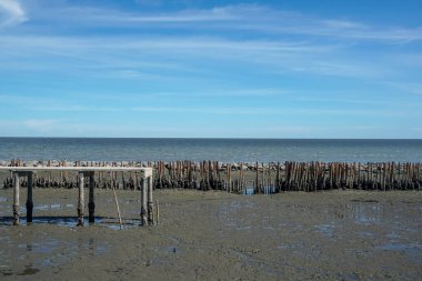 Güneşli bir günde beton geçitli mangrov ıslak deniz karası