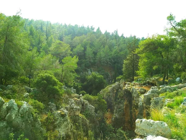 Paisaje Naturaleza Colinas Bajas Cielo Azul Bosque Coníferas Fondos Pantalla —  Fotos de Stock