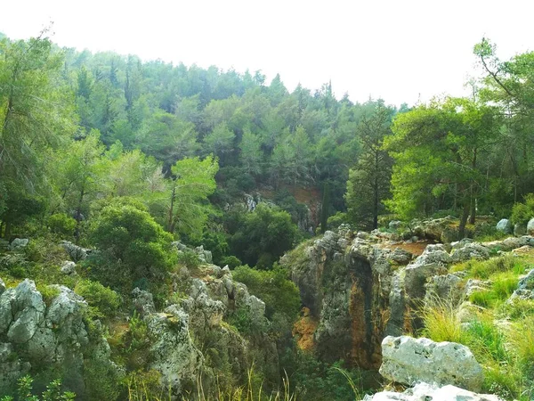 Landschaft Natur Niedrige Hügel Blauer Himmel Nadelwald Tapete — Stockfoto