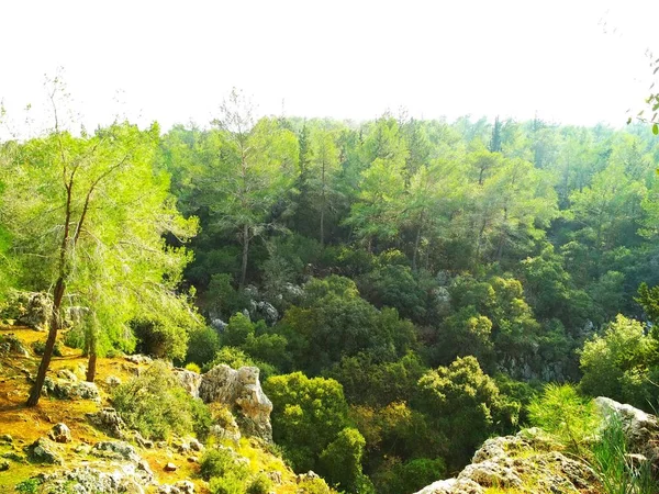 Landschaft Natur Niedrige Hügel Blauer Himmel Nadelwald Tapete — Stockfoto