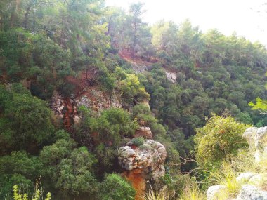 Manzara. Doğa. Alçak tepeler. Mavi gökyüzü. İğne yapraklı orman. Duvar kağıdı