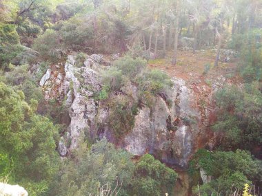 Manzara. Doğa. Alçak tepeler. Mavi gökyüzü. İğne yapraklı orman. Duvar kağıdı