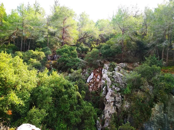 Landschap Natuur Lage Heuvels Blauwe Hemel Naaldhout Bos Behang — Stockfoto