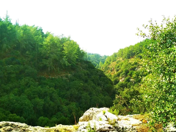 Landschap Natuur Lage Heuvels Blauwe Hemel Naaldhout Bos Behang — Stockfoto