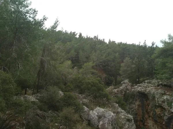 森林低山丘陵の岩や石 自然風景します — ストック写真