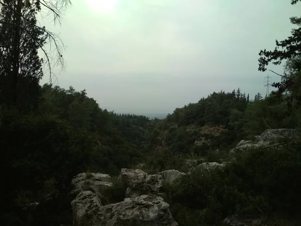 Bosque Las Montañas Bajas Colinas Rocas Piedras Paisaje Natural — Foto de Stock