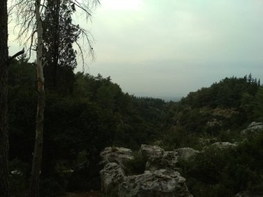 Orman düşük dağlar tepeler kayalar ve taşlar doğal manzara.