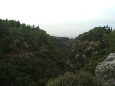 Orman düşük dağlar tepeler kayalar ve taşlar doğal manzara.