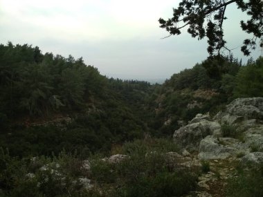 Orman düşük dağlar tepeler kayalar ve taşlar doğal manzara.