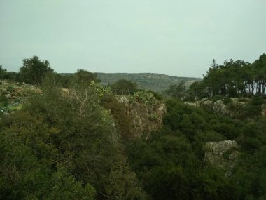 Orman düşük dağlar tepeler kayalar ve taşlar doğal manzara.