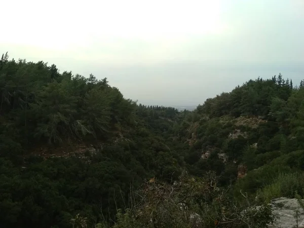 Bosque Las Montañas Bajas Colinas Rocas Piedras Paisaje Natural — Foto de Stock