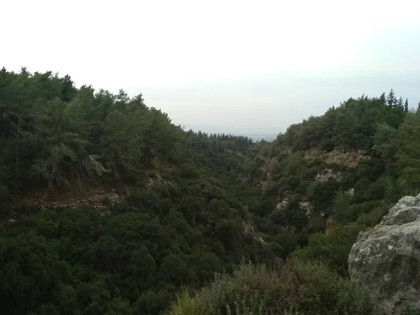 Orman düşük dağlar tepeler kayalar ve taşlar doğal manzara.