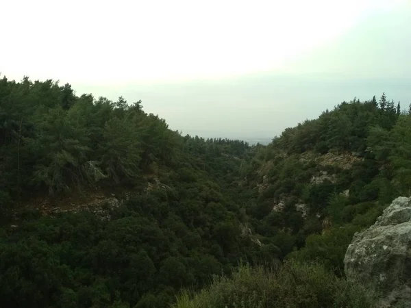 Bosque Las Montañas Bajas Colinas Rocas Piedras Paisaje Natural — Foto de Stock