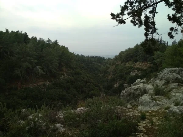 Orman düşük dağlar tepeler kayalar ve taşlar doğal manzara.