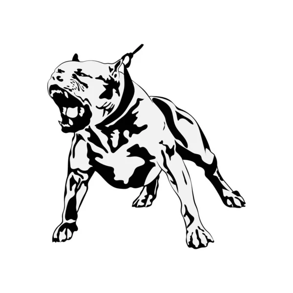 American Pit Bull Svg, Terrier Svg Files For Cricut, Dog Dxf Cut File, Puppy Vector, Eps, Png, Ipg, Friend, Pet, Picture Pitbull — стоковий вектор