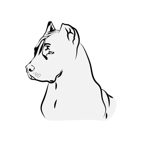 American Pit Bull Svg, Terrier fichiers Svg pour Cricut, Chien Dxf Cut File, Chiot vecteur, Eps, Png, Ipg, Ami, Pet, Pitbull image — Image vectorielle