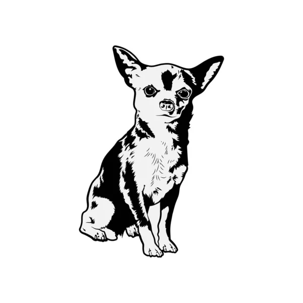 Chihuahua Svg, aranyos Svg fájlok Cricut-nak — Stock Fotó