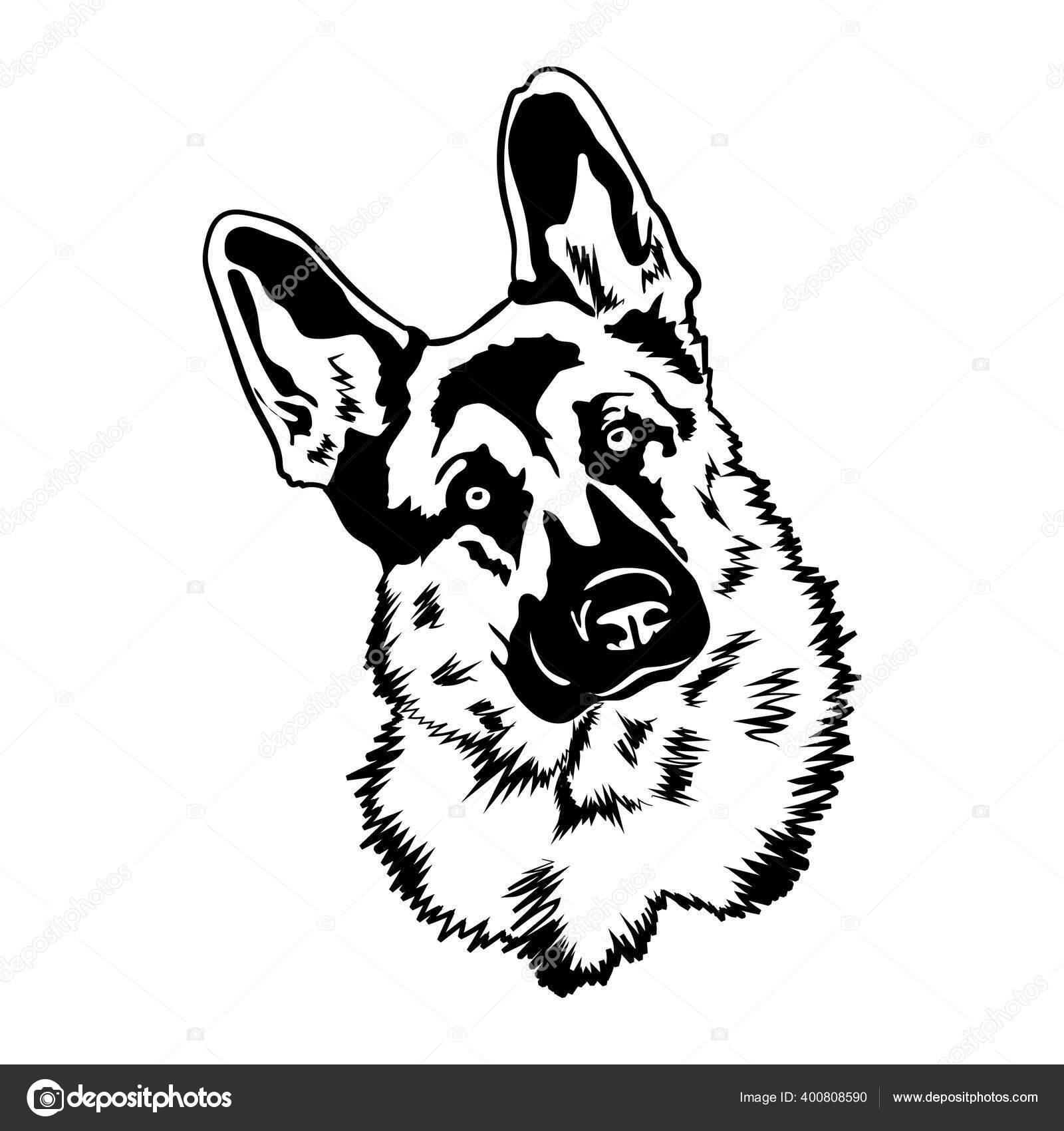 German Shepherd Svg Dog Stock Vector by ©isstrip68.gmail.com 400808590