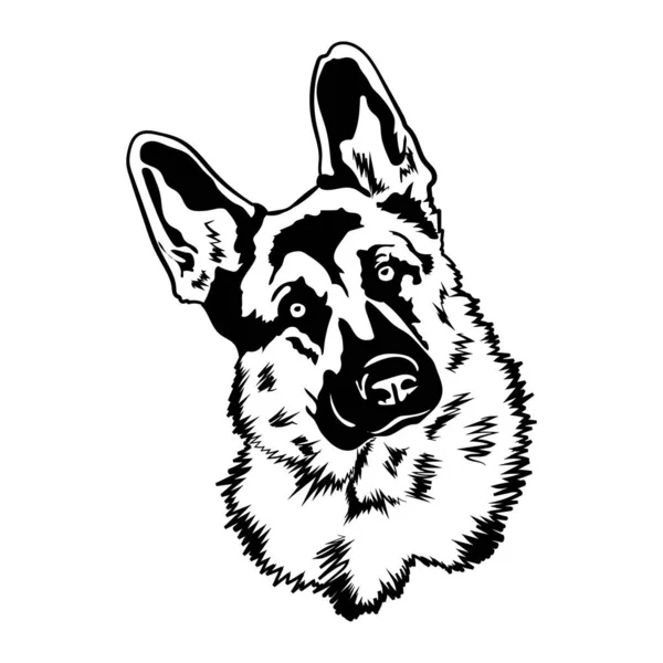 Pastor alemán Svg Dog — Vector de stock