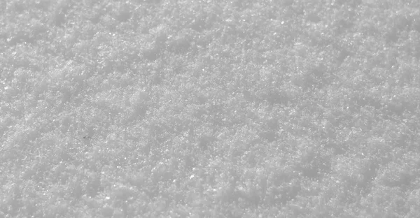 Snow texture. Snowflakes. Winter snow. Top view of the snow. Texture for design.