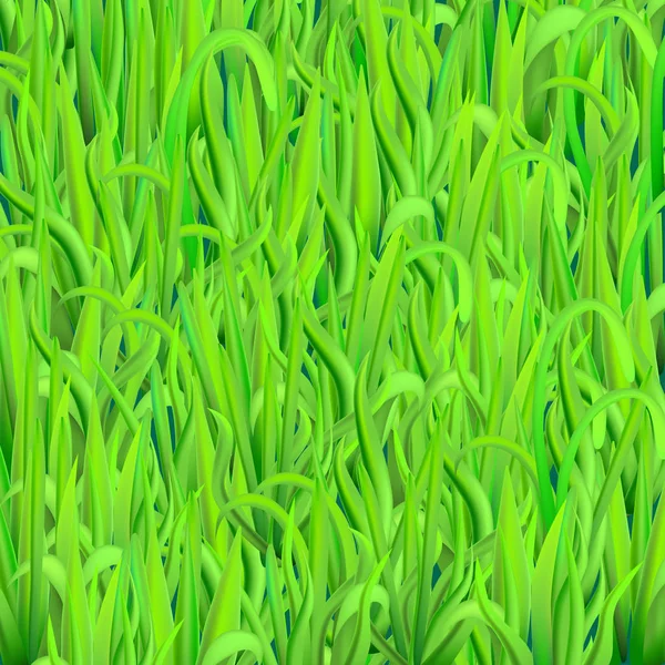 Green grass background — Stock Vector